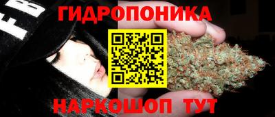 мяу мяу мука Будённовск