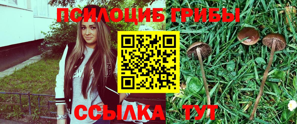 Псилоцибиновые грибы мицелий Муравленко