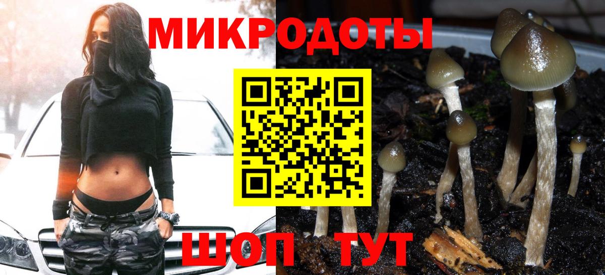 Галлюциногенные грибы Psilocybine cubensis  Вход с VPN  Муравленко 
